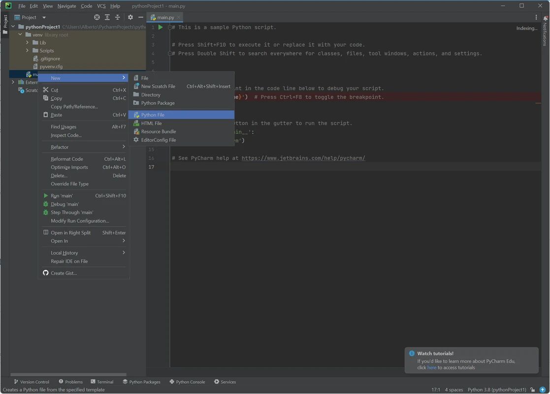 PyCharm IDE showing a Django web project in the editor