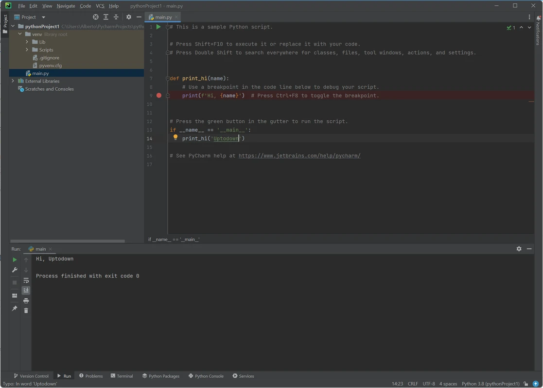 PyCharm with a red breakpoint on a Python print statement and console finished successfully